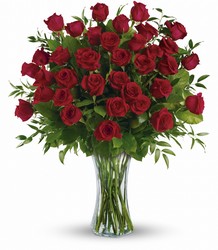 Three Dozen Roses from Olander Florist, fresh flower delivery in Chicago